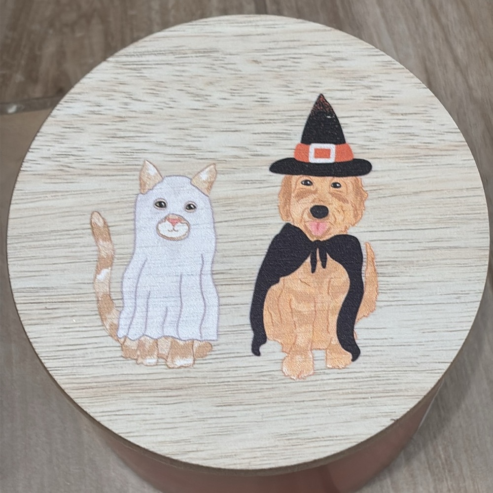 NWT Sand + Paws Halloween costumes Cat and Dog 2 wick candle in Spooky scent